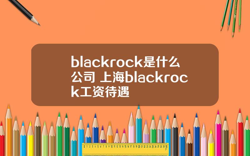 blackrock是什么公司 上海blackrock工资待遇